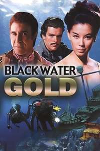 Black Water Gold - Posters