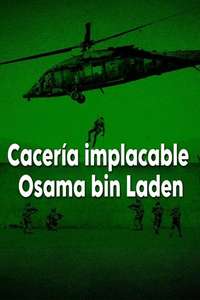 American Manhunt: Osama Bin Laden - Posters