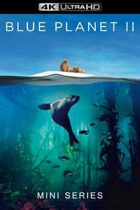 Blue Planet II - Posters
