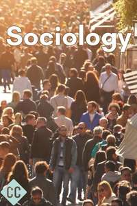 Crash Course Sociology - Posters