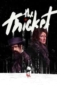 The Thicket - Posters