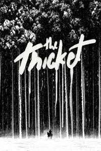 The Thicket - Posters