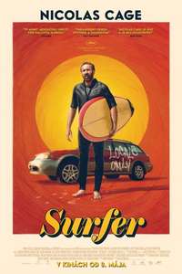 The Surfer - Posters