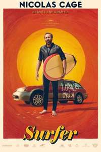 The Surfer - Posters