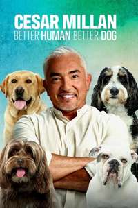 Cesar Millan: Better Human Better Dog - Posters