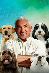 Cesar Millan: Better Human Better Dog - Posters