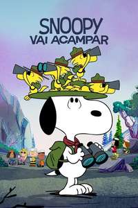 Camp Snoopy - Posters