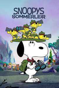 Camp Snoopy - Posters