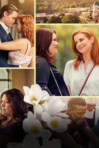 Sweet Magnolias - Posters