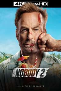 Nobody 2 - Posters