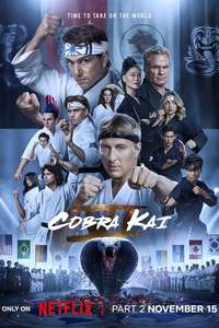 Cobra Kai - Posters