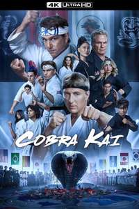 Cobra Kai - Posters