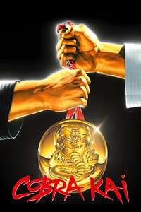 Cobra Kai - Posters