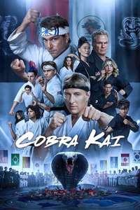 Cobra Kai - Posters