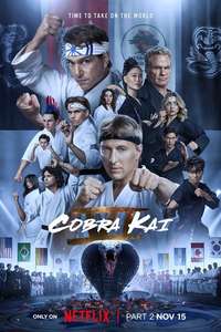 Cobra Kai - Posters