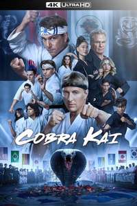 Cobra Kai - Posters
