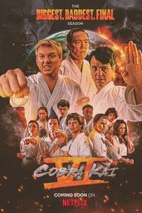 Cobra Kai - Posters