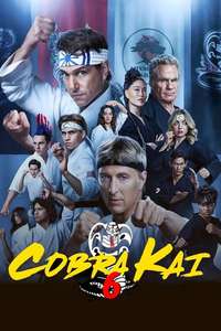 Cobra Kai - Posters