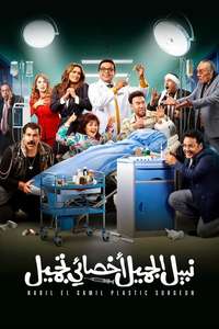 Nabil El Gamil Plastic Surgeon - Posters