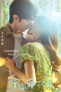 Hidden Love - Posters