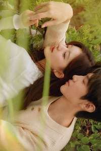 Hidden Love - Posters
