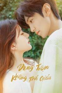 Hidden Love - Posters