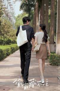 Hidden Love - Posters