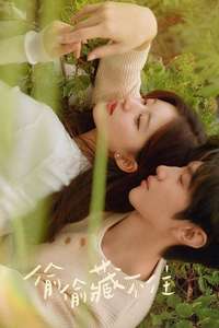 Hidden Love - Posters