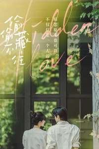 Hidden Love - Posters