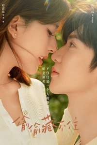 Hidden Love - Posters
