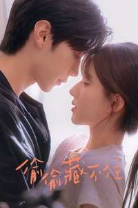 Hidden Love - Posters