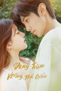 Hidden Love - Posters