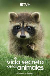 The Secret Lives of Animals - Posters