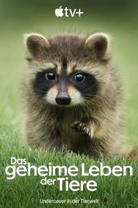 The Secret Lives of Animals - Posters