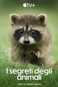 The Secret Lives of Animals - Posters