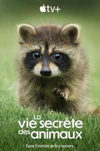 The Secret Lives of Animals - Posters
