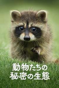 The Secret Lives of Animals - Posters