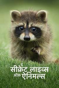 The Secret Lives of Animals - Posters