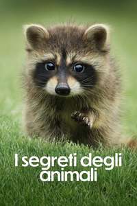 The Secret Lives of Animals - Posters