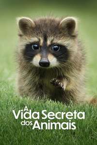 The Secret Lives of Animals - Posters