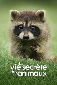 The Secret Lives of Animals - Posters