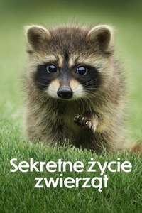 The Secret Lives of Animals - Posters