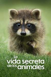 The Secret Lives of Animals - Posters