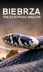 Biebrza: The European Amazon