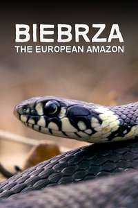 Biebrza: The European Amazon - Posters
