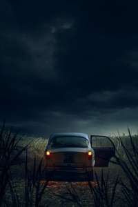 The Monster of Florence - Posters