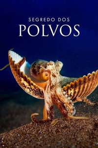 Secrets of the Octopus - Posters