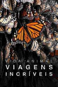 Incredible Animal Journeys - Posters
