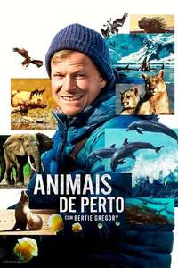 Animals Up Close with Bertie Gregory - Posters