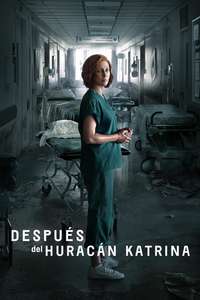 Five Days at Memorial - Posters